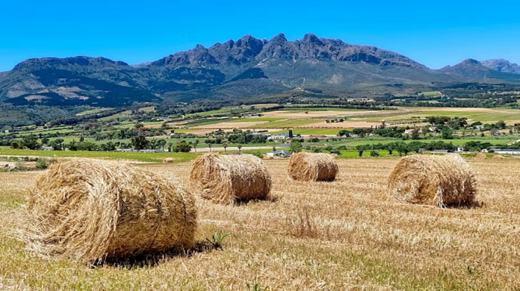 Farmland