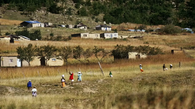 Rural Village